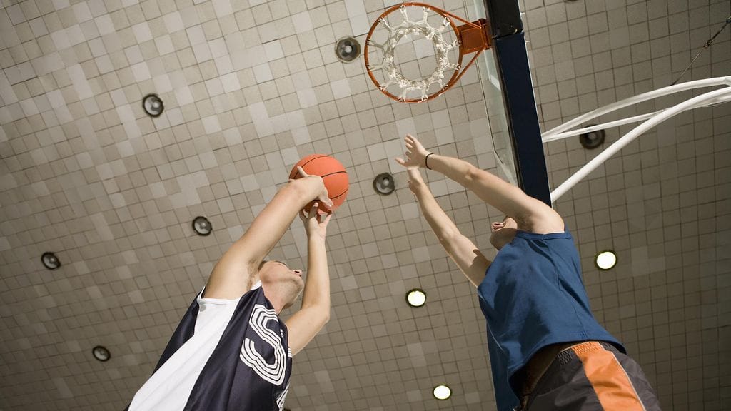 shutterstock_217354741