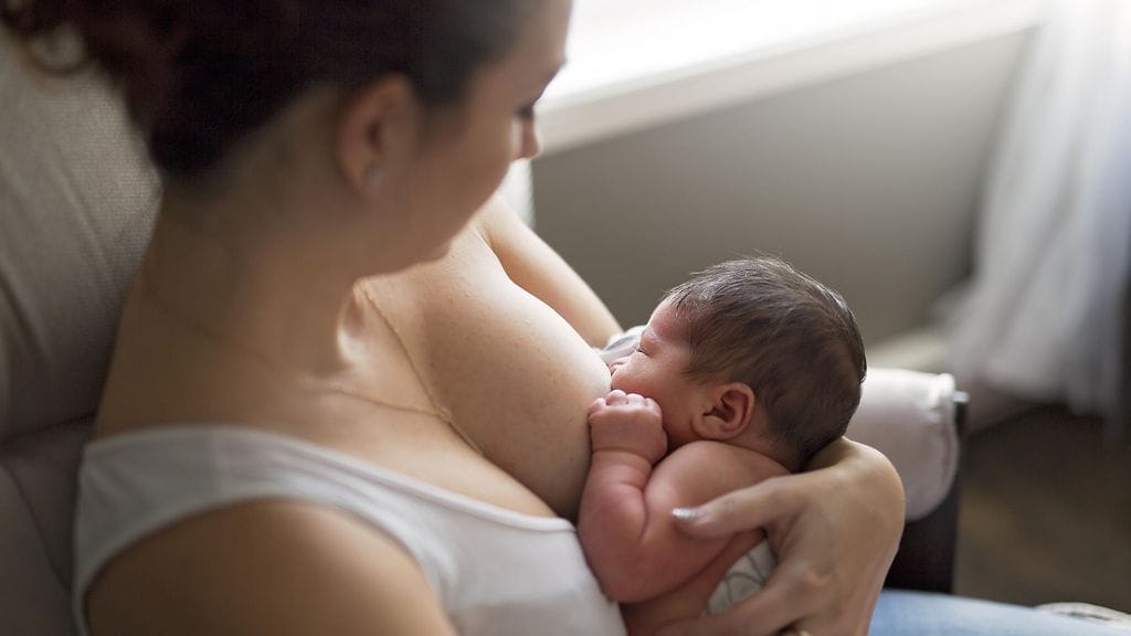 shutterstock_522183202