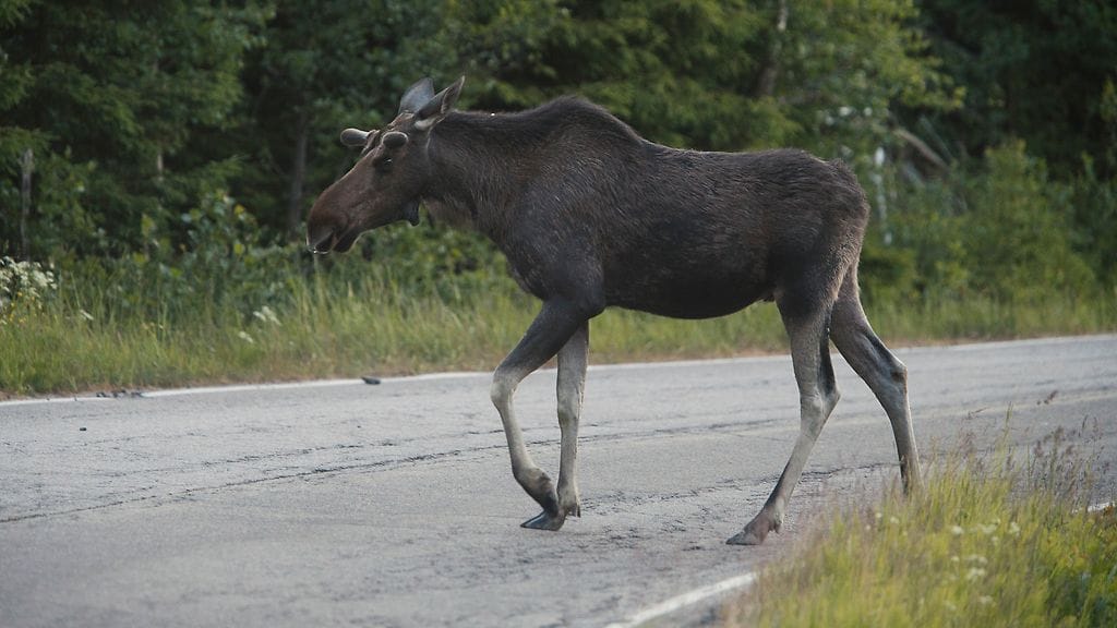 Onnettomuus sattui iltakymmenen jälkeen Hangonväylällä.