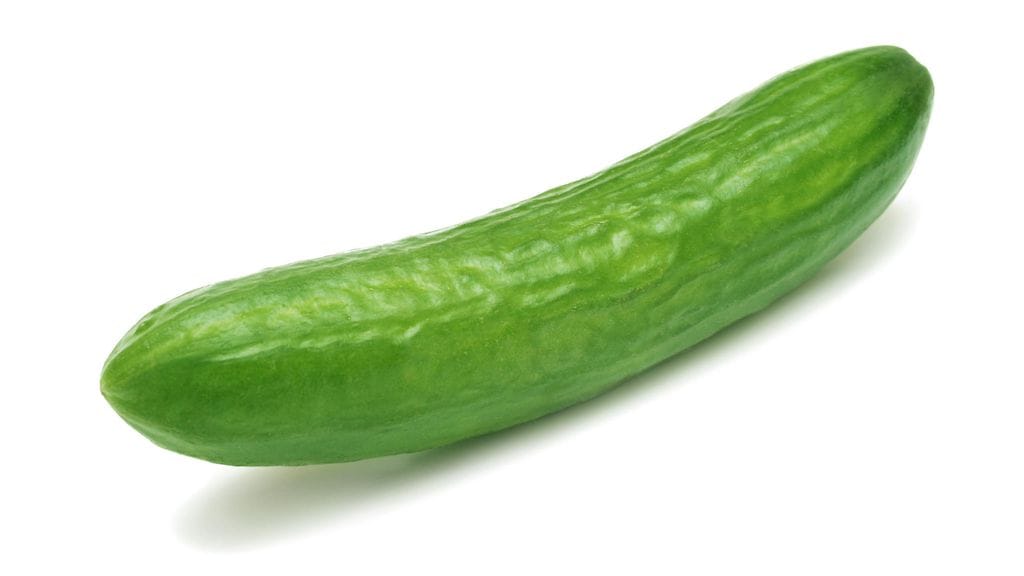 shutterstock_25228570