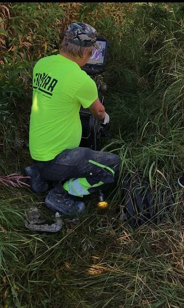 kissa ikkunasta kotka (1)