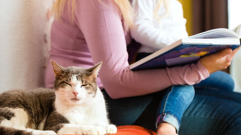 shutterstock_174430535