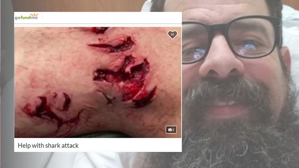 KuvienlägdeGofundme