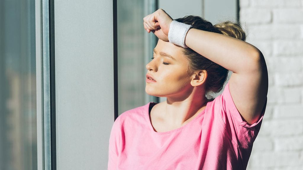 shutterstock_1029564592