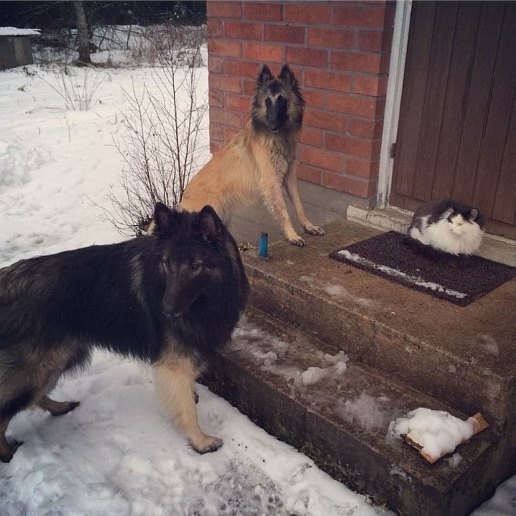 HUOM KUVA VAIN LIFESTYLEN JUTTUUN 40182452_541286899634135_8231981855658737664_n