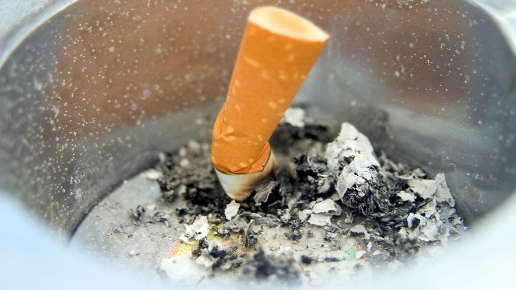 shutterstock_1019250538