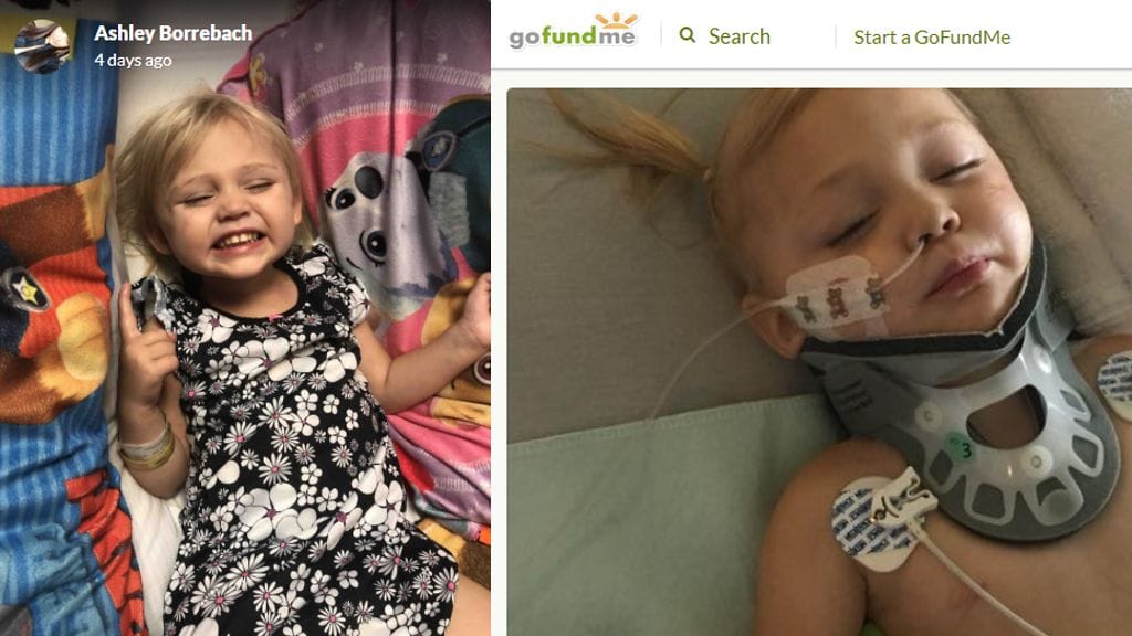 KuvienlähdeGofundme