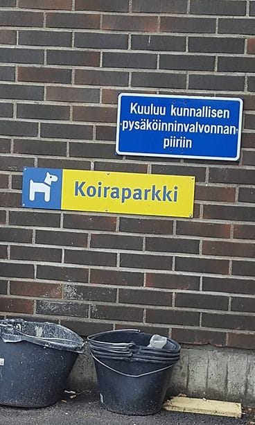 koiraparkki