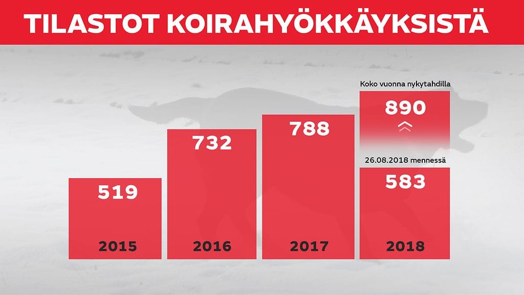 Tilastot koirahyökkäyksistä