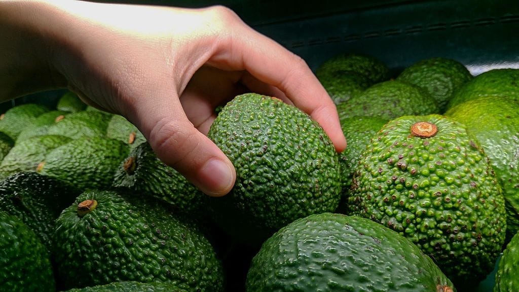 shutterstock_754306762