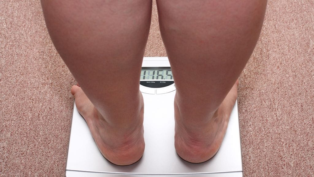 shutterstock_12172603 (1)