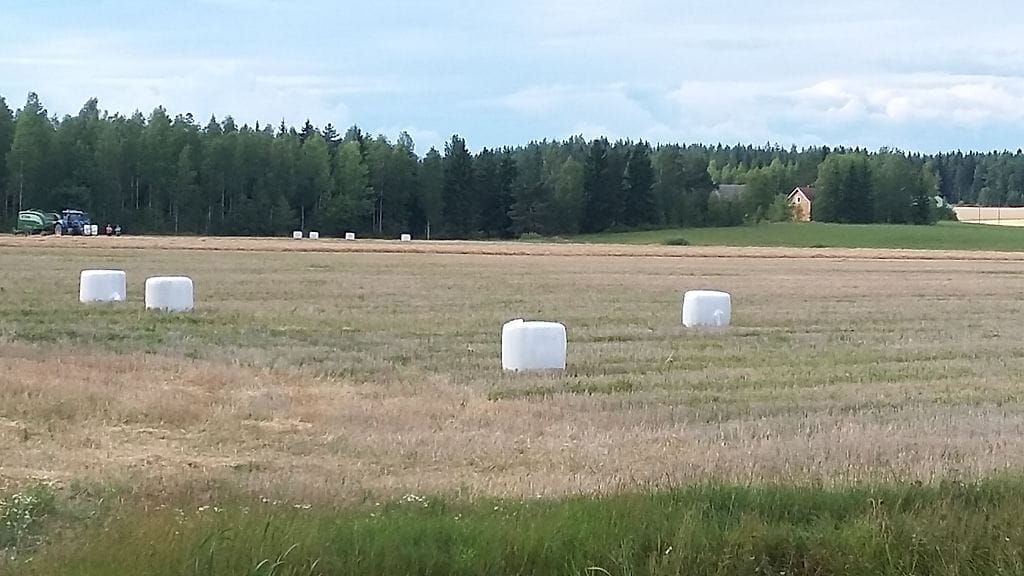 Maatalous, pelto, paaleja