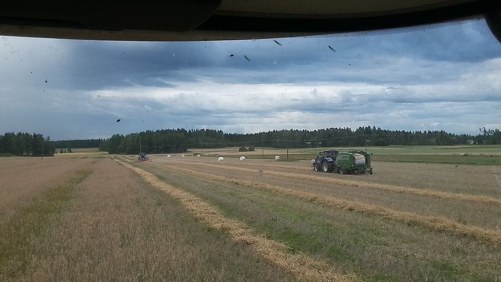 Maatalous, maanviljely, pelto