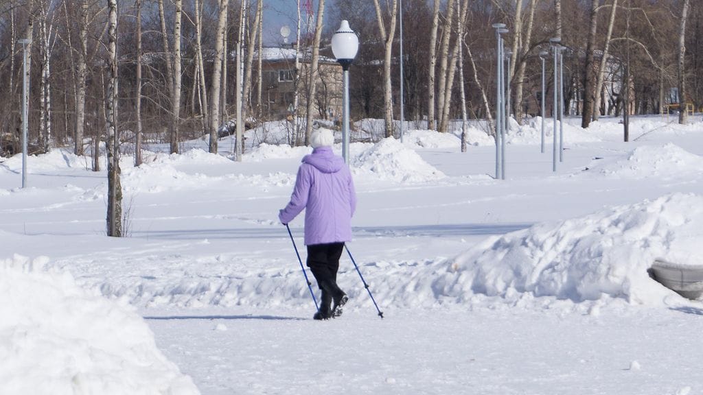 shutterstock_1139020919