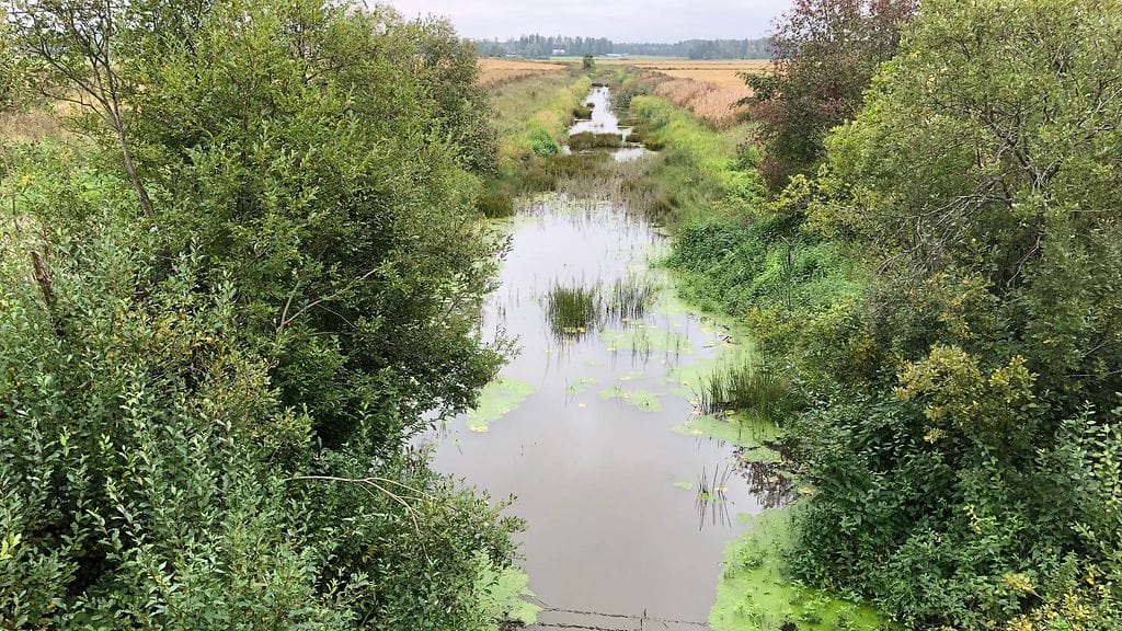 kipsi, kipsihanke, joki, vesistö