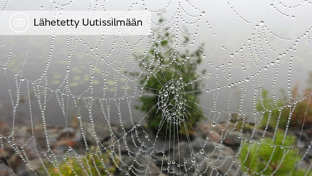 dscn9094-2-jpg-jpg-05-09-2018-15-49-31-148