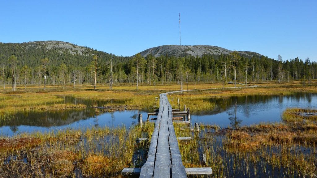 Uutissilmä, Pyhätunturi, ruska, syksy
