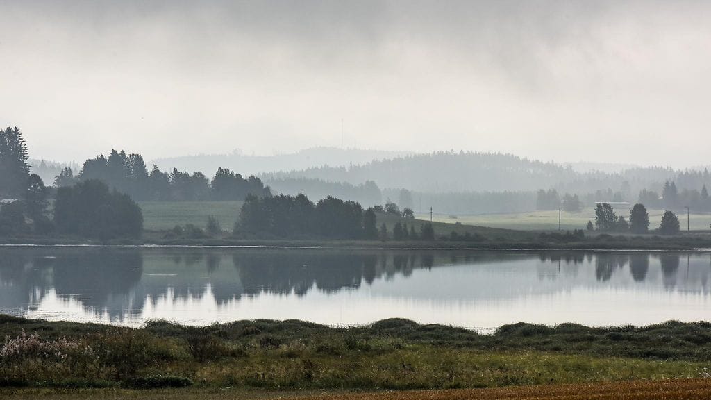 Uutissilmä, järvi, sumu