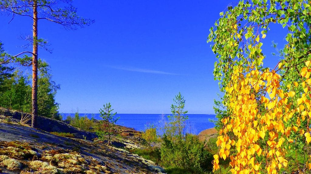 Uutissilmä, syksy, ruska