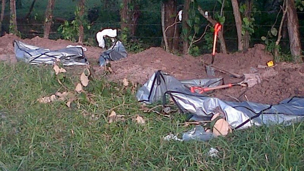 Myös vuonna 2014 Veracruzin osavaltiosa löytyi joukkohauta. Tuolloin haudasta löydettiin 31 ihmisen ruumiit.