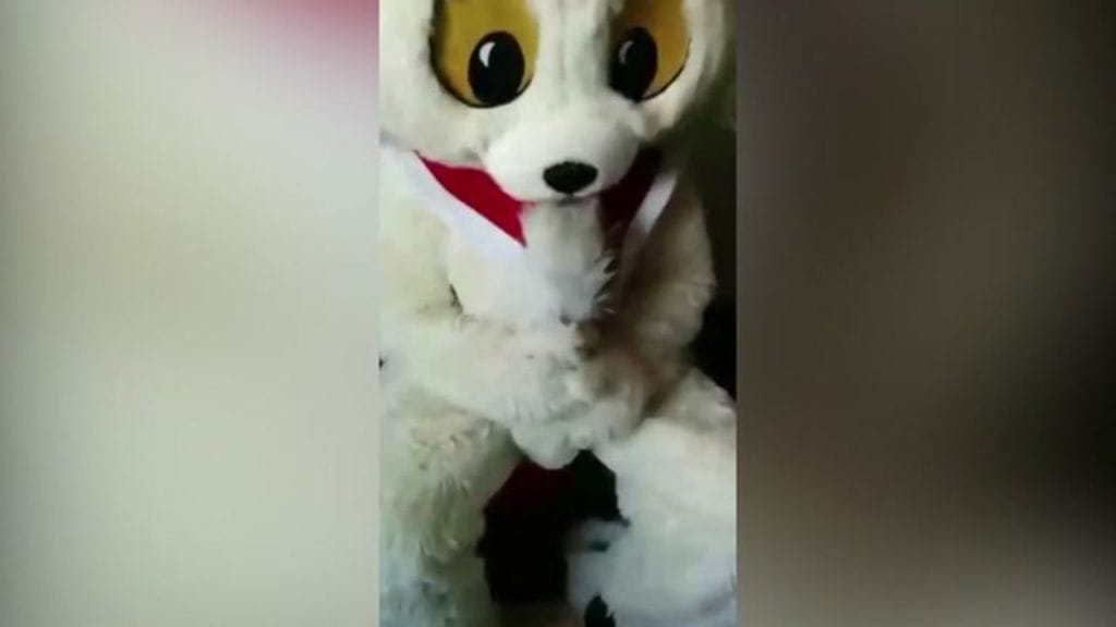 Videon alkuperä ei ole vielä yrityksen tiedossa.