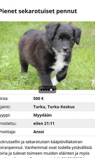 pentu - pentutehtailu (2)