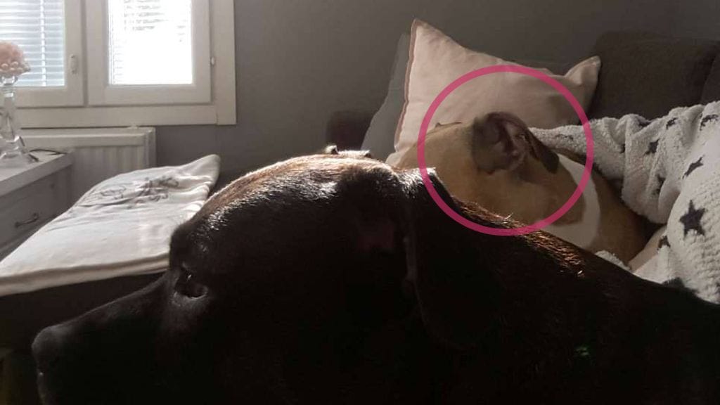 141658939_326274894807026_4905915626372988928_n