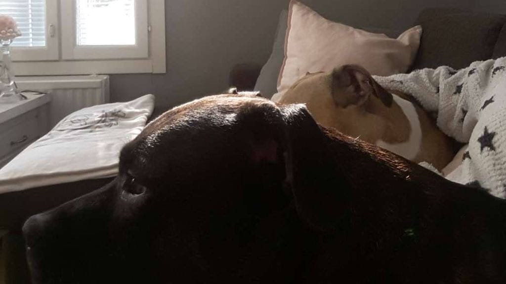 41658939_326274894807026_4905915626372988928_n