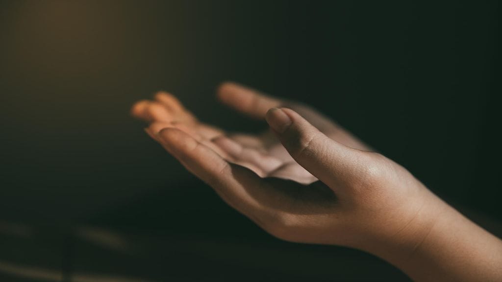 shutterstock_Tekijä Moosavefoto