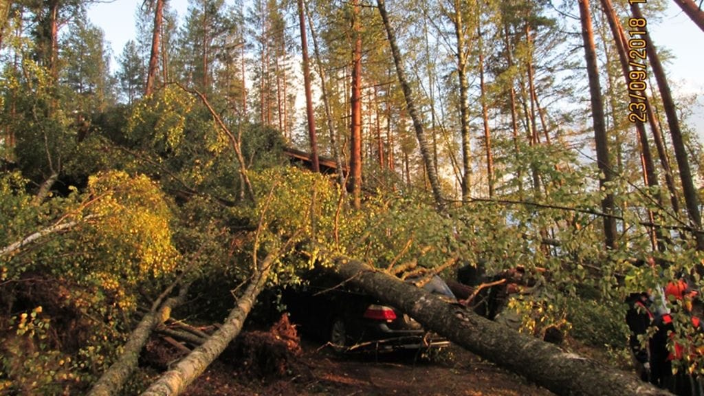 Kaatuneiden puiden alle jäi bemari, kesämökki ja rantasauna. Kuvassa näkyy auto puiden alla.