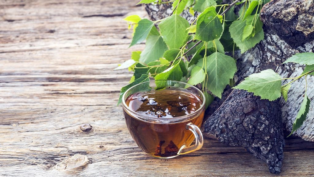 pakuri uute tee kahvi