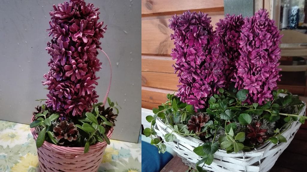 KUVA VAIN LIFESTYLEN JUTTUUN AIHEESTA