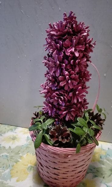 KUVA VAIN LIFESTYLEN JUTTUUN AIHEESTA 42974426_299017737367701_5914598715997290496_n