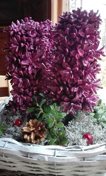 42876498_280497112563764_1498779458423750656_n