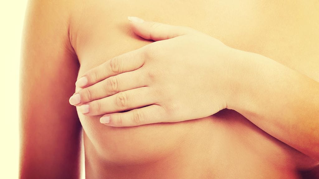 Ihminen on ainut nisäkäs, jolla rinnat ovat näkyvät ja pysyvät. Onko kyse vain evoluution aikana sattuneesta virheestä?