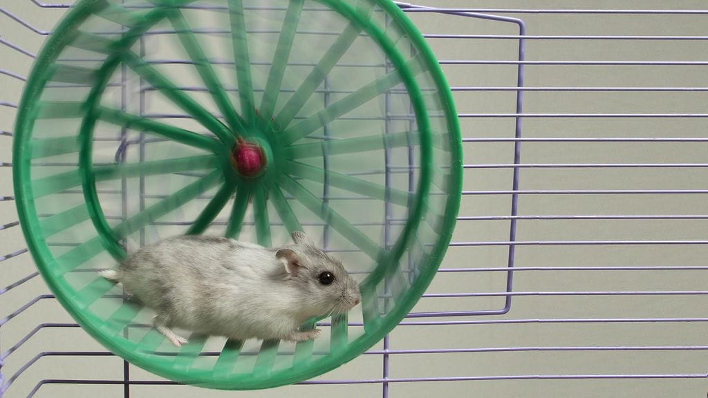 shutterstock_121071685