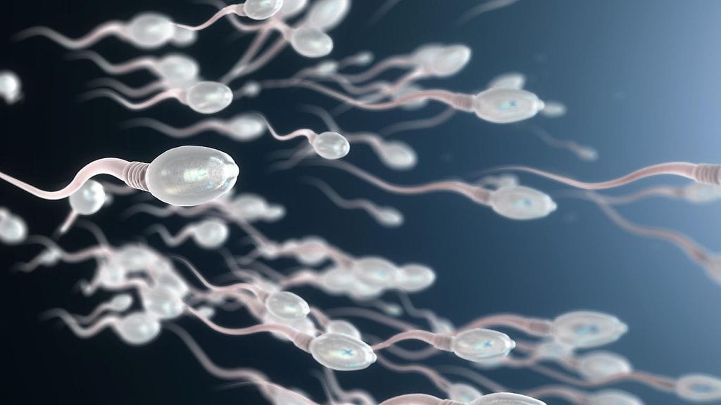 Mies oli aikaisemmassa elämässään käynyt luovuttamassa spermaa. Hänen vaimolleen selvisi vasta vuosia myöhemmin, että miehellä on 47 jälkeläistä.