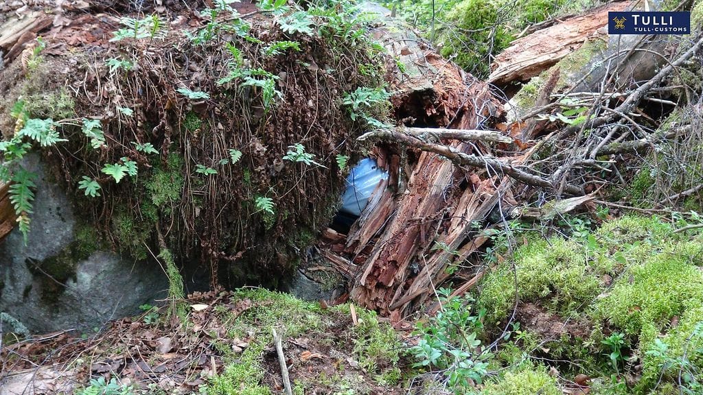 Maastokätkö huumeet