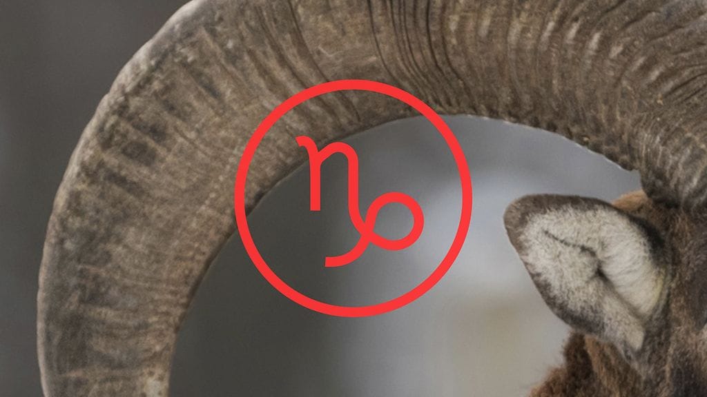 Kauris 22.12.–19.1.