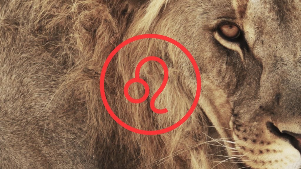 Leijona 23.7.–22.8.