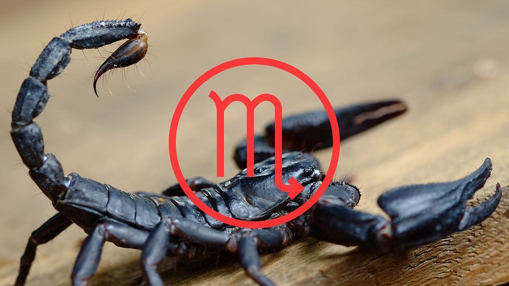 Skorpioni 24.10.–22.11.