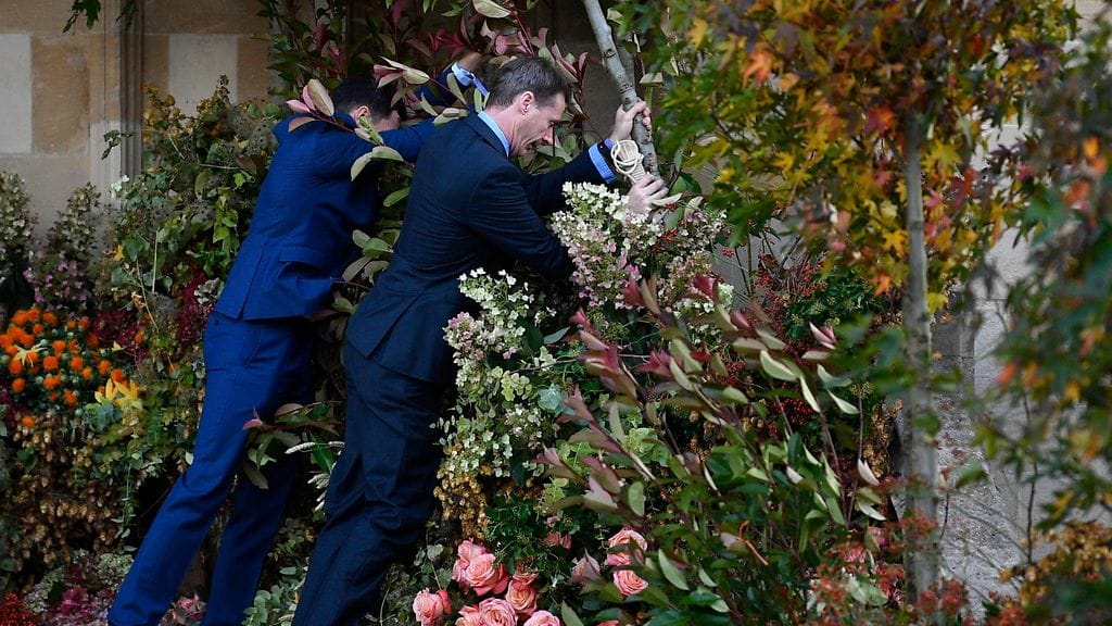 eugenie häät tuuli (1)