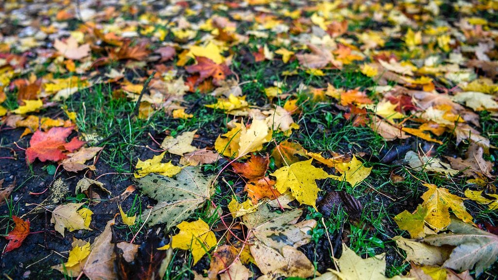 Tänään on syyspäiväntasaus