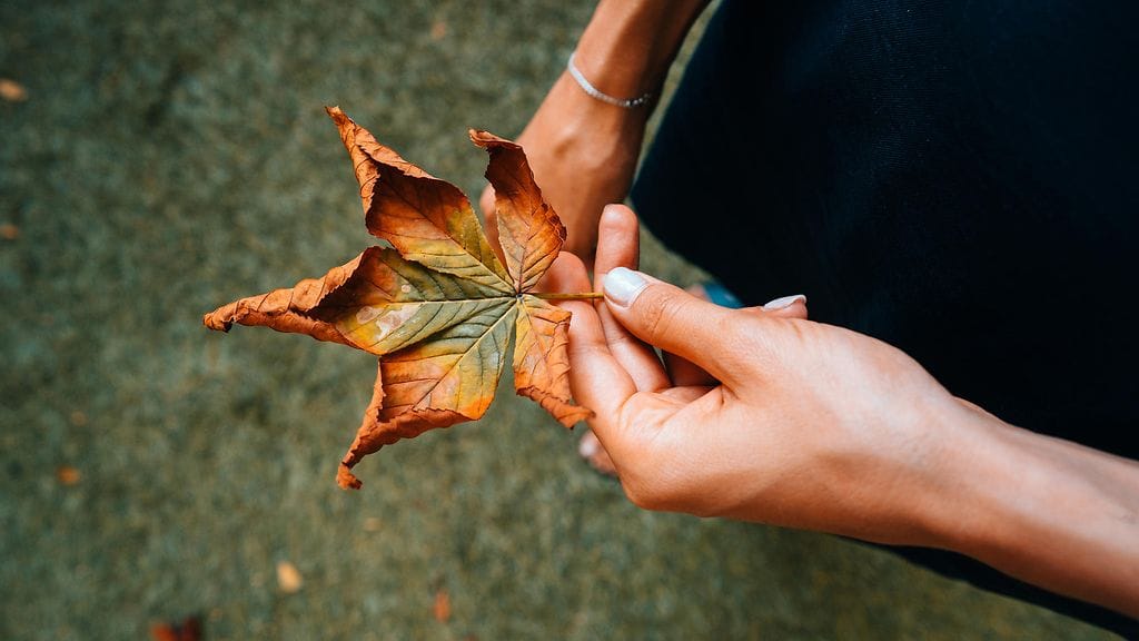 Surun hetkellä olisi tärkeinä antaa itselleen lupa olla surussa juuri omalla tavallaan. –Usein positiiviset tunteet surussa ovat hankalia, vaikkapa helpotuksen tunne, sanoo suomalaisten surua tutkinut Mari.