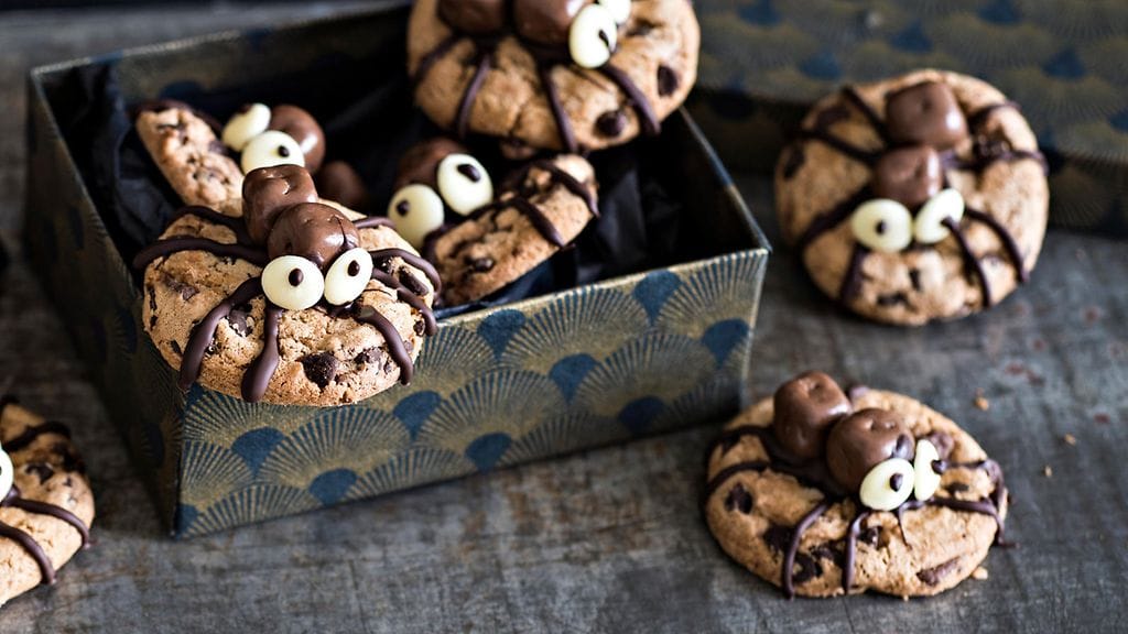 KR16_5_hämähäkkikeksit