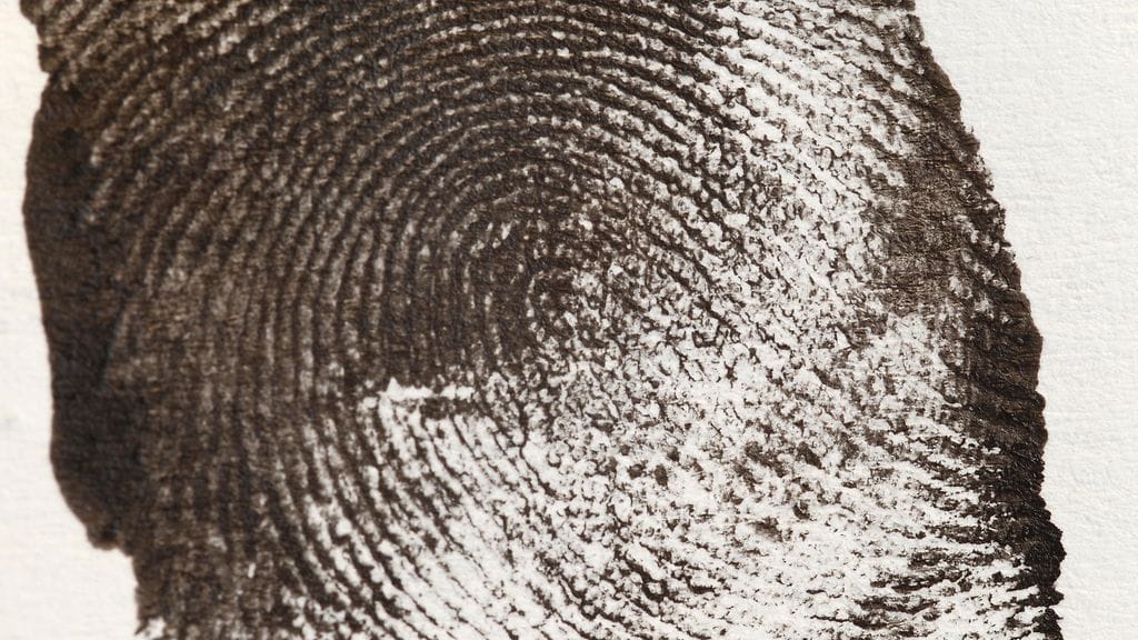 Espanjalainen huumesalakuljettaja muun muassa leikkasi ja poltti sormenpäitänsä sekä siirrätti uutta ihoa sormenjälkitunnistusta hämätäkseen.