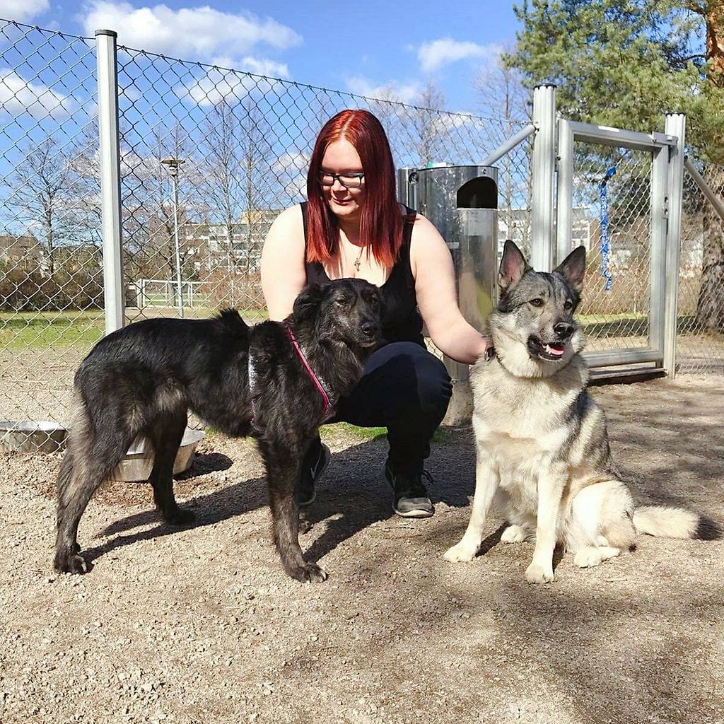 32932051_10210959426653175_3016379046926745600_o