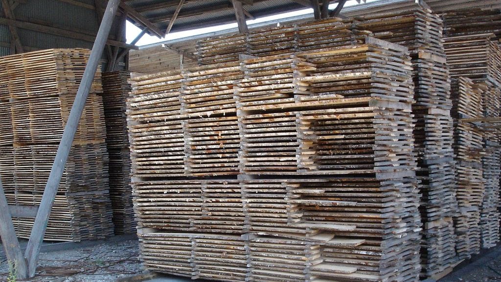 Lakko näkyy käytännössä sahoilla ja vaneritehtailla. Kuvituskuvassa Tuppisahattua koivulautaa varastossa.