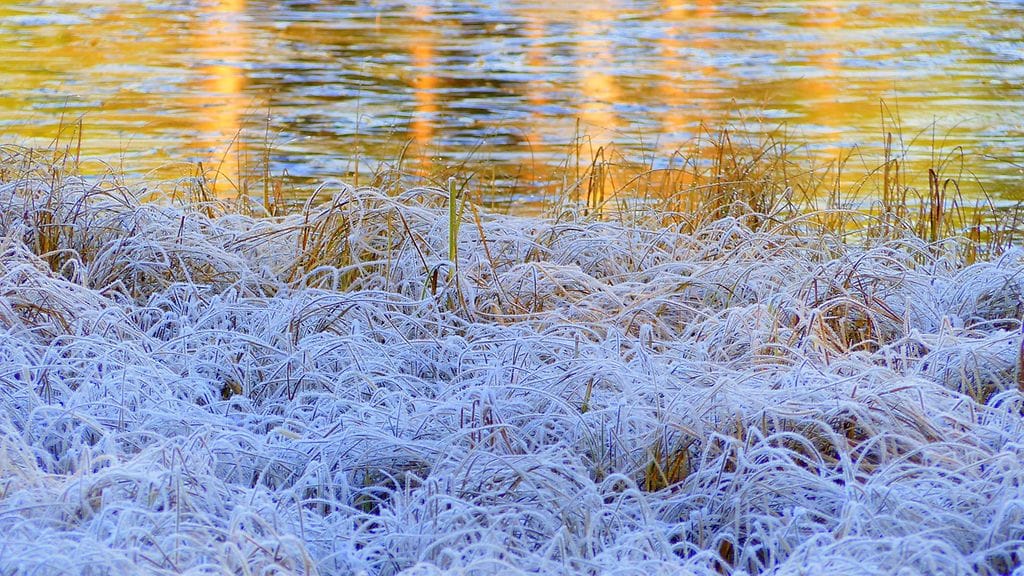 Edessä voi olla jo kuuraisia aamuja.