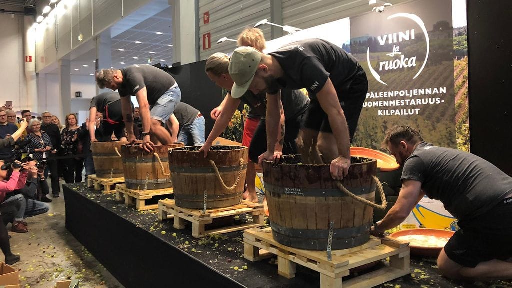 rypäleenpoljennan SM